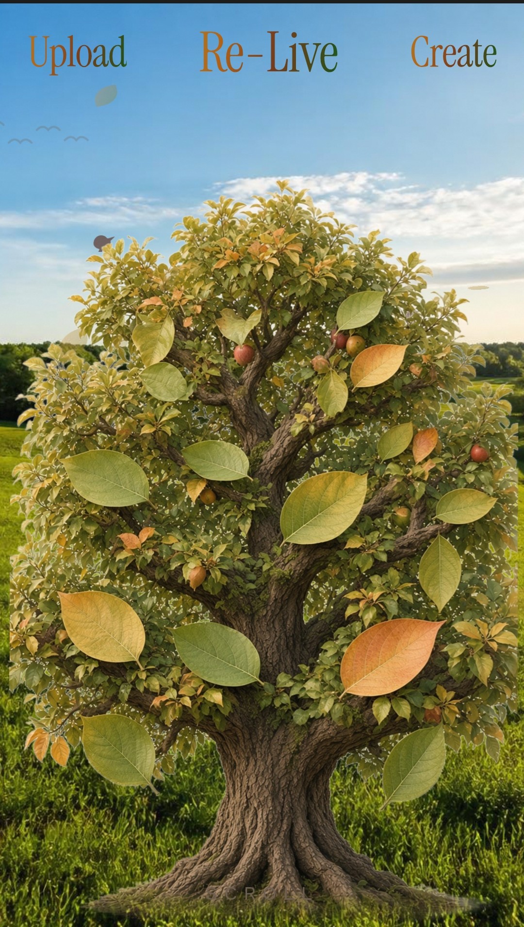 Illustrated family tree with leaves and fruit, used as the onboarding graphic for the Re-Live app